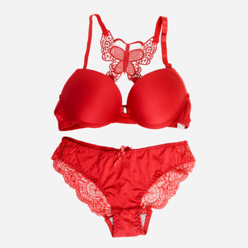 butterfly padded bra set